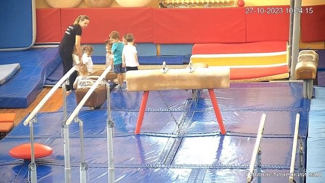 Спортивная гимнастика