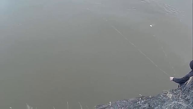 Хапуга хлопок, техника заброса хапужки с берега, Рыбалка по открытой воде