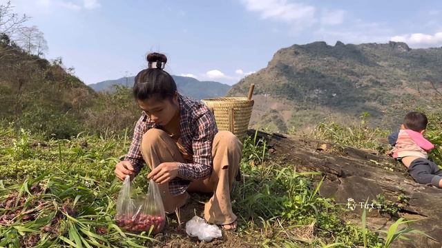 17 Year Old Single Mother - build Bamboo Fence To Go The Market And Buy Puppies To Raise - ly tu c