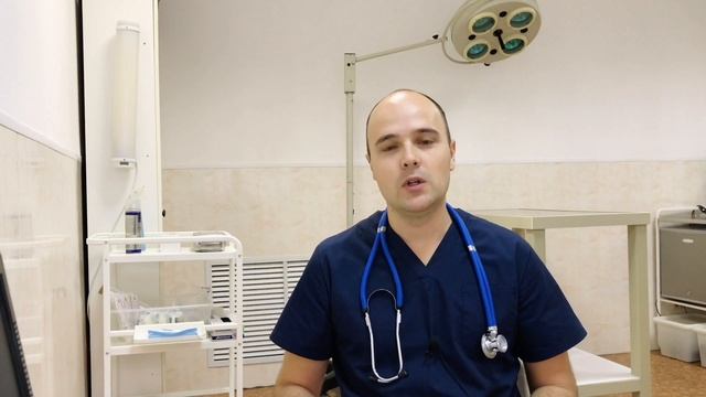 Почему у кошки текут слюни, гиперсаливация у кошек