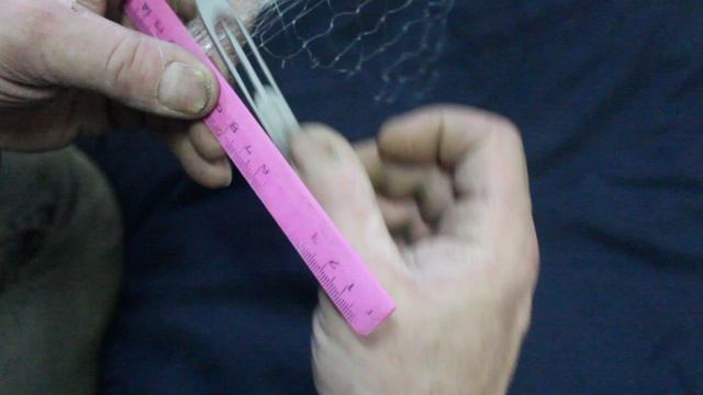 Плетение сетей. Вяжу полотно на экран с мелкой ячейкой для ловли живца.