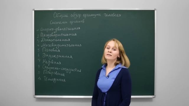 Анатомия и физиология человека: Общий обзор организма человека. Центр онлайн-обучения «Фоксфорд»