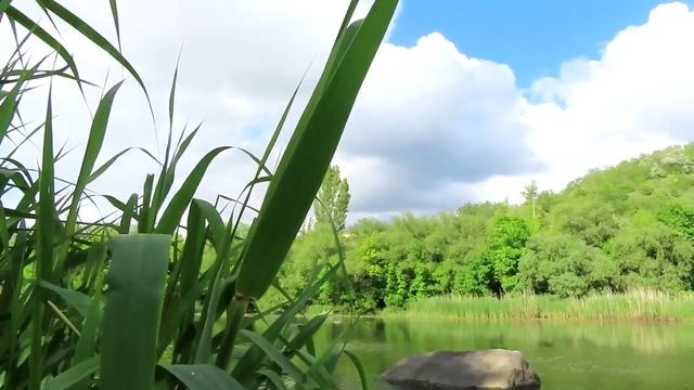 ПОРОЛОНОВАЯ убийца карася _ снасть на поплавочную удочку и скользящий поплавок с