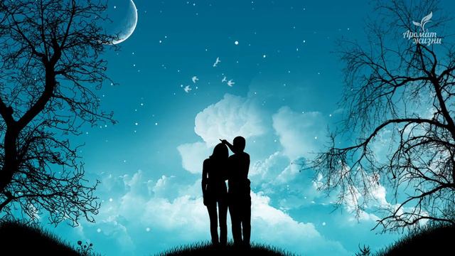 Мудрец рассказывает почему люди ссорятся и расстаются | Мудрость, Понимание, Саморазвитие