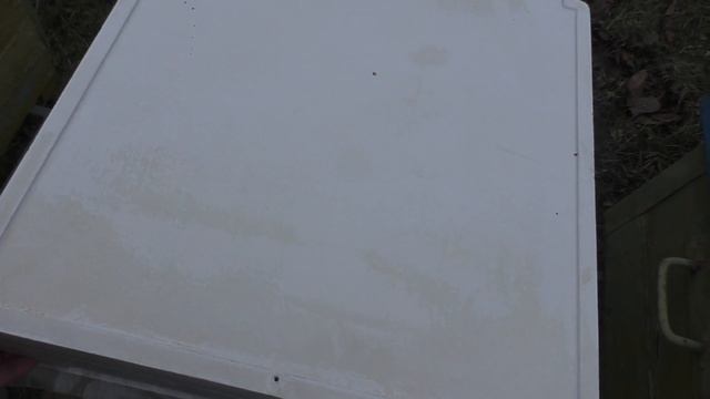 Как зимуют ПЧЕЛЫ в декабре в УЛЬЯХ РАЗНЫХ ТИПОВ.
