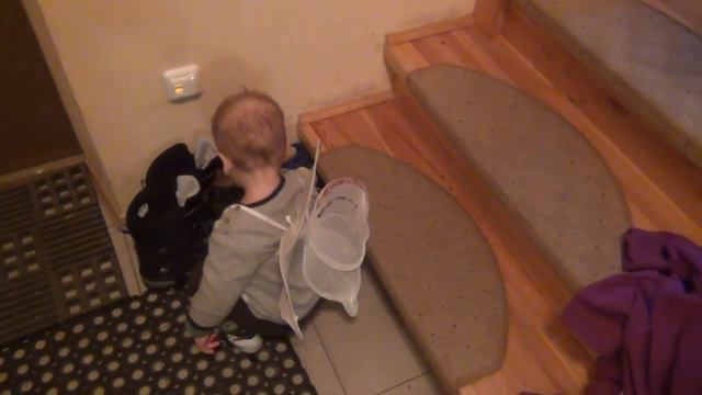 Приключения Ярослава