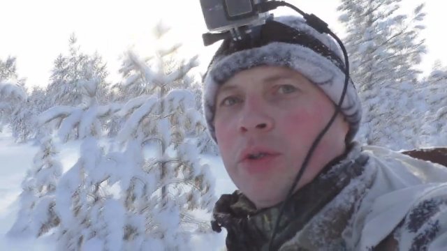 В мороз в лесу. Нашли наброды глухаря. Вышли на куропаток