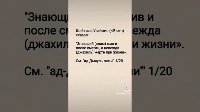 #знания #счастье #вера #ислам #иман #islam #коран #жизнь #хадис #сунна  #الله #ютуб #канал #тикток