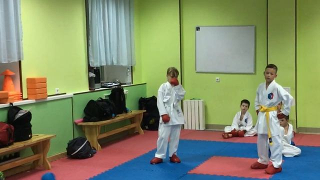 Уроки карате / Каратэ обучение / Приемы карате