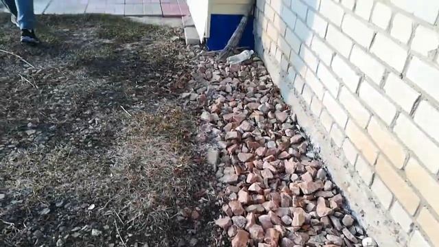 Как поймать хомяка на даче.