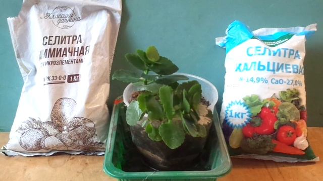 СРЕДСТВО УСКОРЯЮЩАЯ РОСТ КОМНАТНЫХ РАСТЕНИЙ ОТ ПОЖЕЛТЕНИЯ ЛИСТЬЕВ ЗИМОЙ.