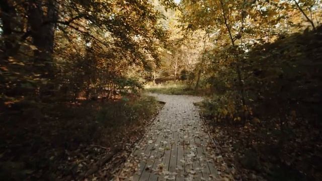 Оркестр Поля Мориа Сборник Лучших Мелодий Paul Mauriat Collection Of The Best Melodies.mp4