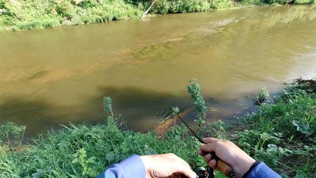 Эти воблеры просто косят голавля! Как поймать голавля летом на малой реке. [Пора ловить голавля]