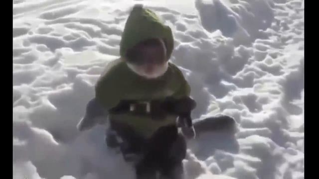 Смешные видосы