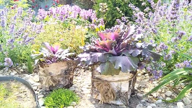 Красота в Деталях☘️ Идеи для Сада. Живой Декор? #garden #сад #декор