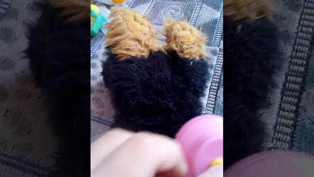 Видео. Как я ухаживаю за моей любимой игрушкой!!!