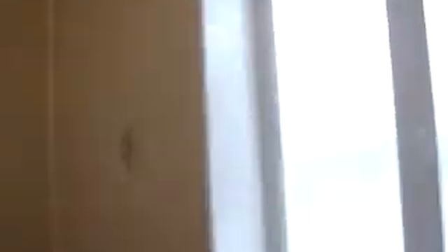 Плитка кафельная