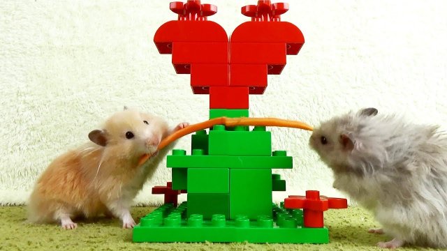 ?Хомяк в сказочном лесу Lego? mp4