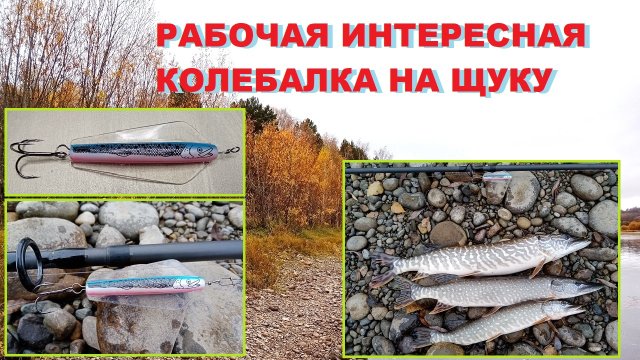 Рыбалка интересной колебалкой на щуку!