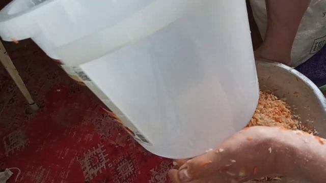 Квашение капусты в бочке с гнетом.sauerkraut in a barrel with yoke