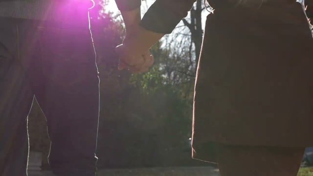 ЭДЕЛЬВЕЙС (песня)