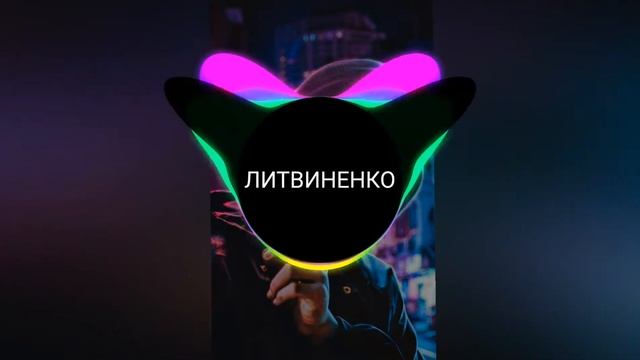 Литвиненко-оп мусарок(Bass)