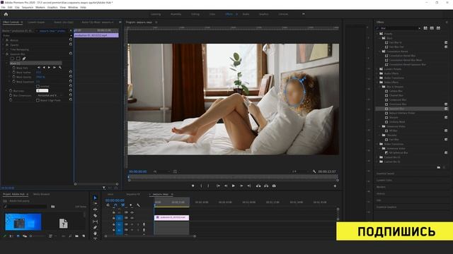 Как замазать лицо Adobe Premiere Pro | БЫСТРО | Как закрыть лицо, как удалить объект