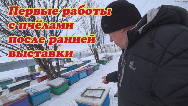 ПЕРВЫЕ ПАСЕЧНЫЕ РАБОТЫ ПОСЛЕ РАННЕЙ ВЫСТАВКИ ПЧЕЛОСЕМЕЙ.