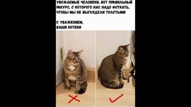 ПРИКОЛЫ! ГОТОВИМ ЕДУ ДЛЯ СТУДЕНТА!!! Улетные МЕМЫ, смешные истории, ШУТКИ от Доми шоу
