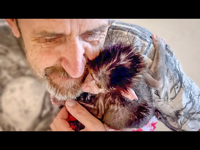 ОЧЕНЬ СТРАННО! Степашка уже  СУТКИ не отпускает меня ни на шаг даже ночью!