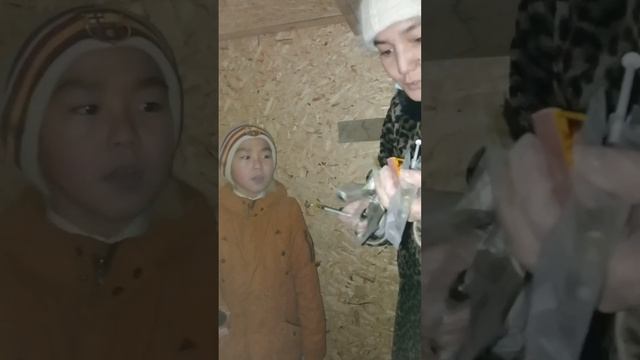 Заболели Индюки делаем укол индюкам. Как делать укол индюкам. Как лечить индюков от простуды