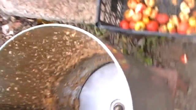 Яблочный сок. Самый лучший измелчитель яблок (корморезка) для яблочного пресса