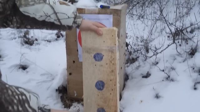 Доскопробиваемость мелкашки (.22лр). Стреляем на 100 и 150 м