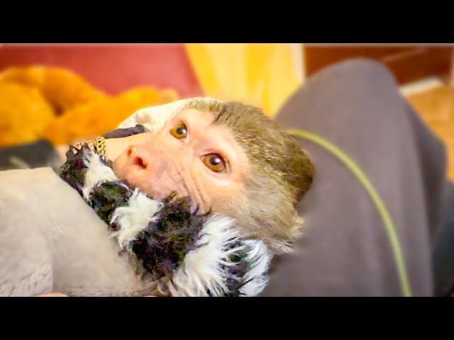 Мы с Владом пытаемся дать Люське ВЫПЛЕСНУТЬ ЭНЕРГИЮ)))