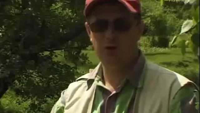 Рыбалка Щербаковых 8. Ловля на ультралайт. Выпуск 8.