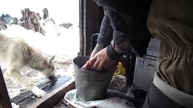 6 Часть . Промысел в тайге 2015! Рыбалка и охота.