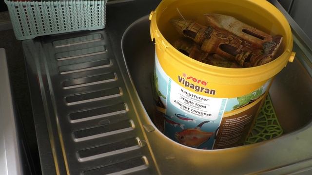 А вы отбеливаете? Лучший способ отмыть аквариумные декорации