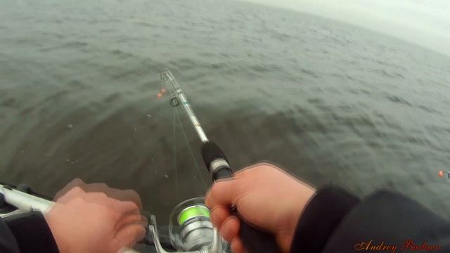 ловля корюшки с лодки на финском заливе