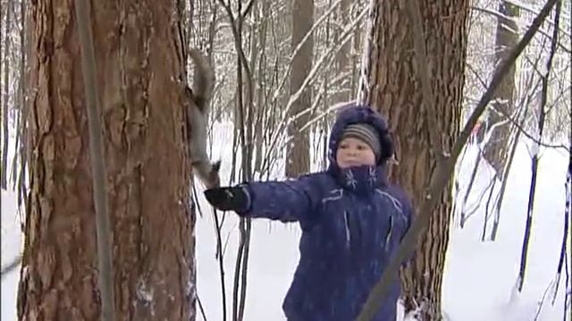 Что едят белки зимой
