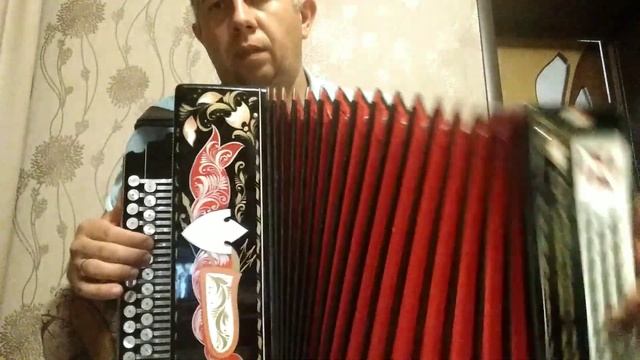 Разбор песни"А жизнь моя течёт и катится"(Гармонь)