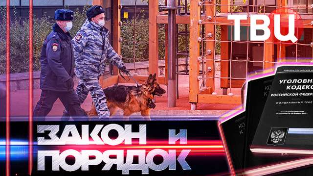 9.4.24. Закон и порядок / Под Ярославлем поезд снес автобус | В Краснодаре мужчина "заказал" соседку