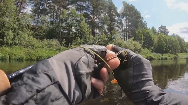 НАХЛЫСТ 2023. ОТКРЫТИЕ СЕЗОНА