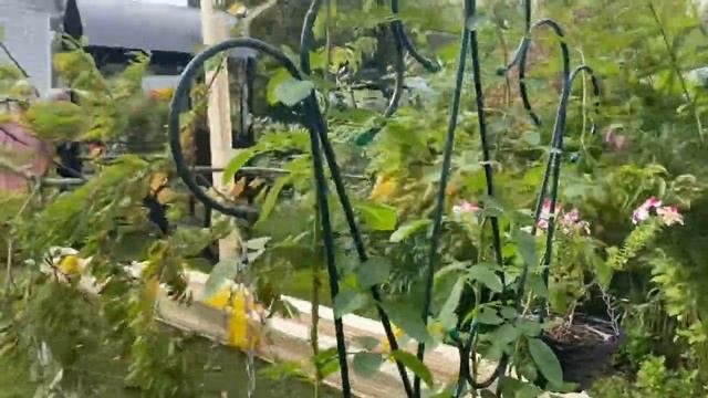 ВЛОГ Строительство беседки с кухней /«Майская беседка» в сентябре / Как себе ? 4 сентября 2020 года