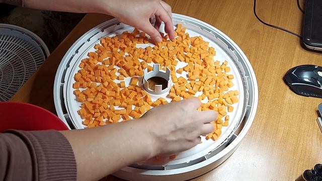 Сушим морковь в электросушилке