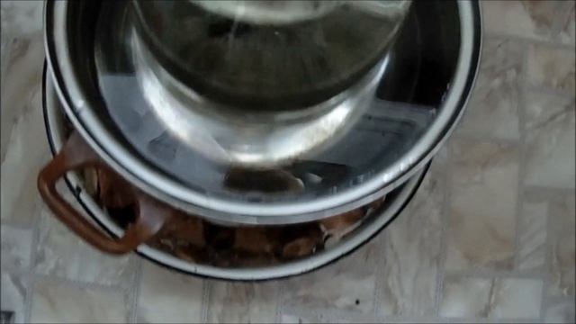 СОЛЕНЫЕ ГРИБЫ НА ЗИМУ