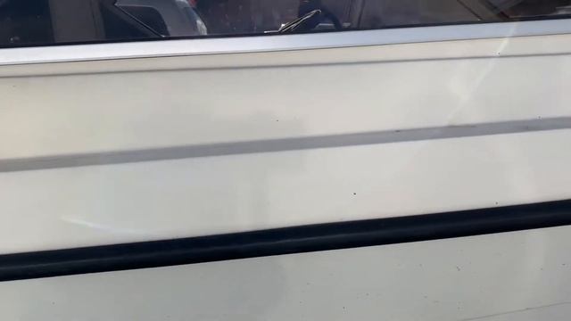 DELPHIN 560 Cabin
