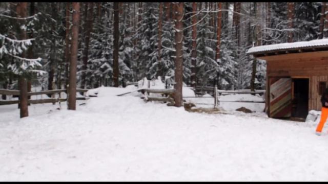 Лисицкий Бор. Выходные.