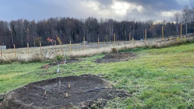 Закоренелый цветочник Александра Постнова у РЕПЕЙНИКА в гостях.