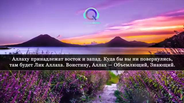 Сура Аль Бакара на всю ночь