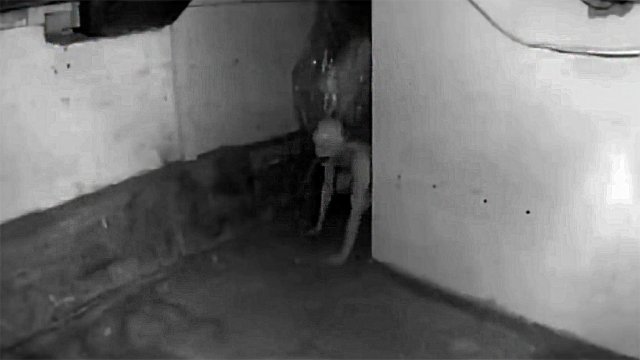 Девушка Сняла ЧЕРТА у Себя В Подвале. 5 Мистических видео. Паранормальное. Необъяснимое.
